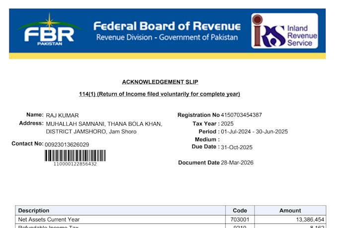 tax consultant for ntn and filing